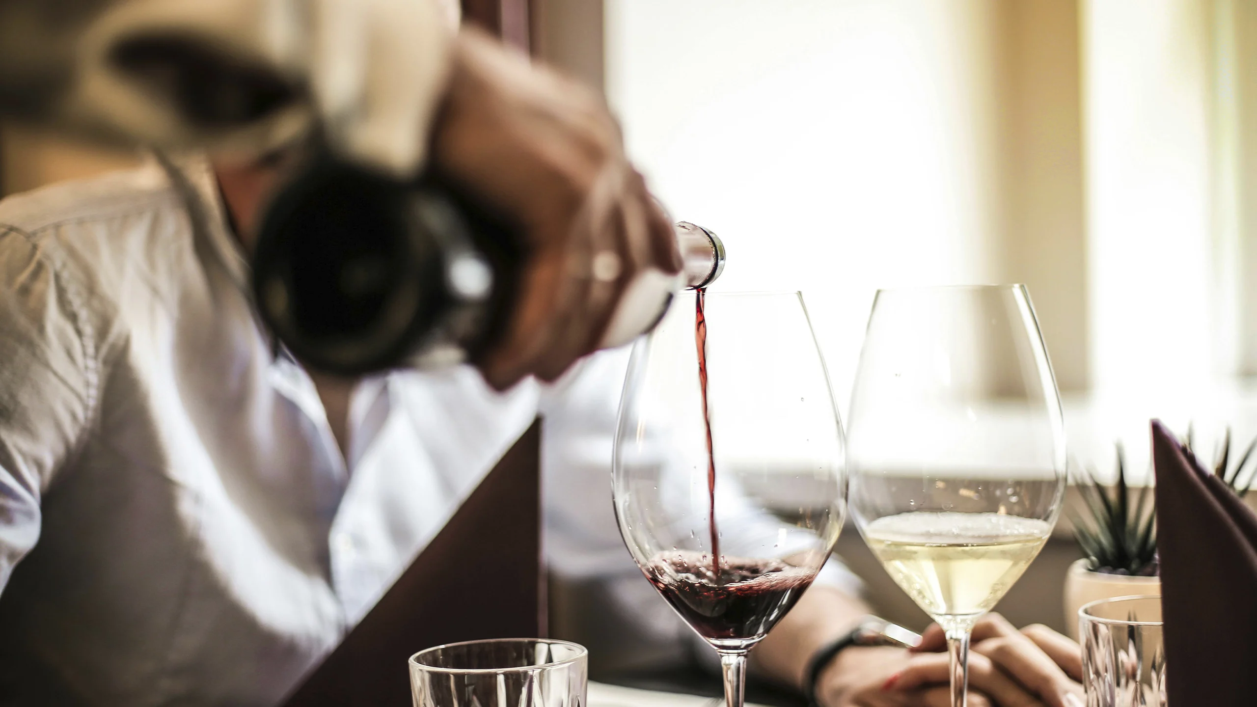 Conoce más de la bodega chilena Cousiño Macul