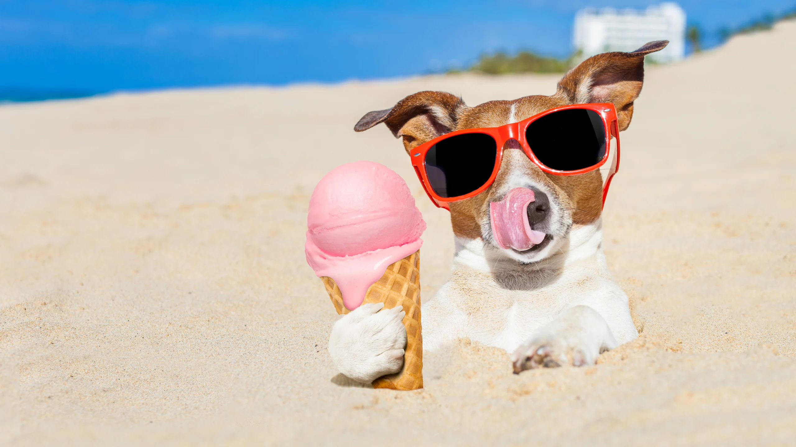 ¿Cómo hacer helado para perros en casa?