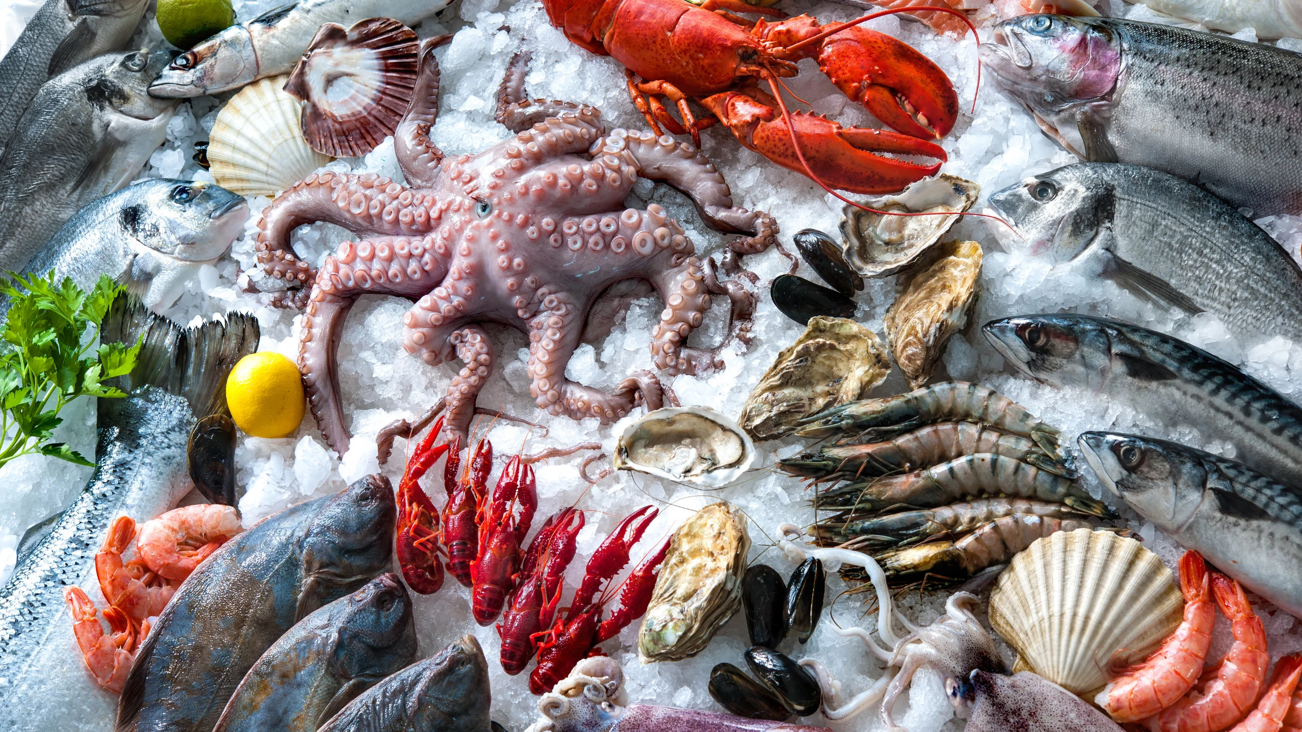 Recetas con mariscos para refrescarte
