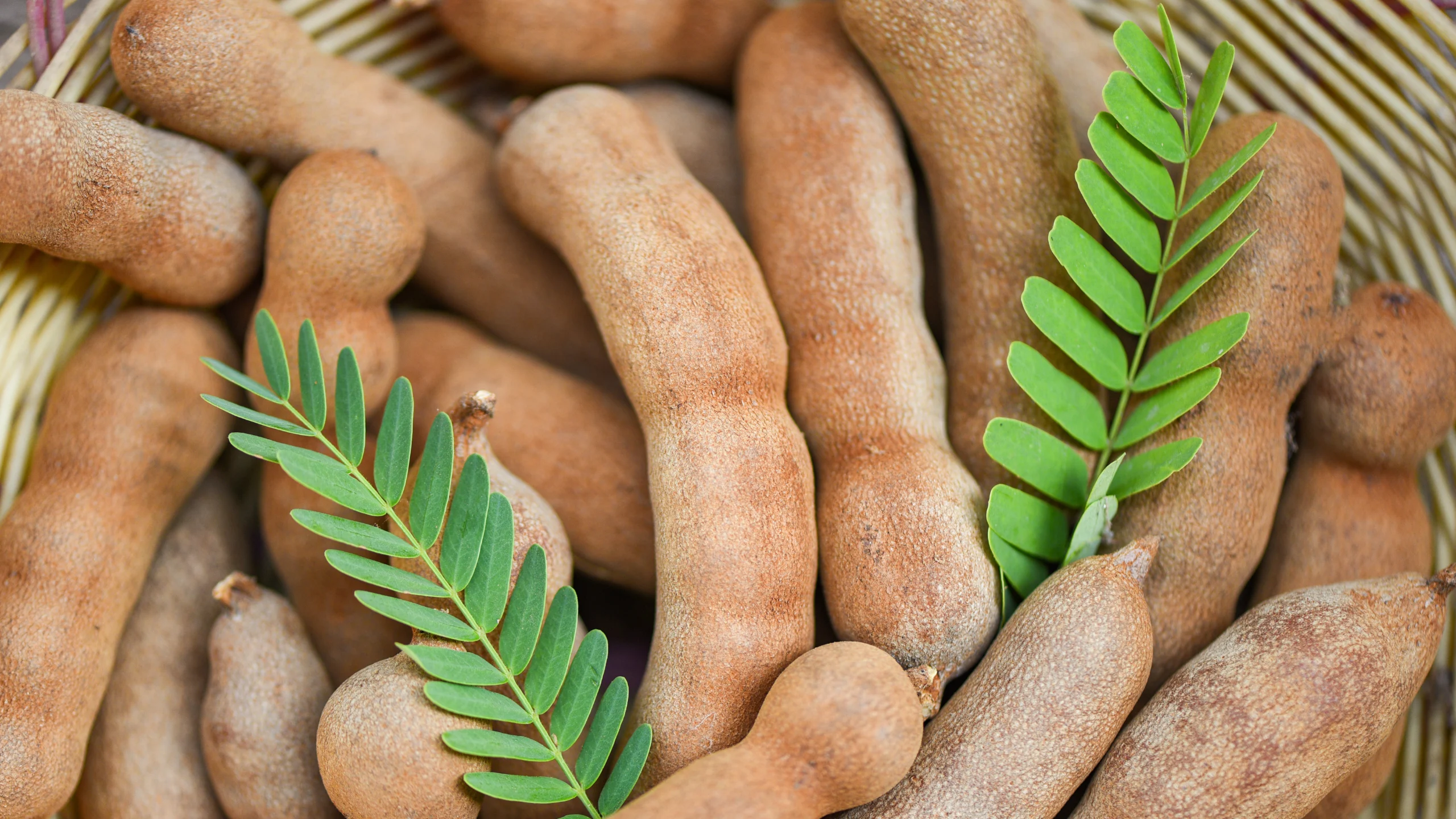 Aprende a preparar tus propios dulces de tamarindo