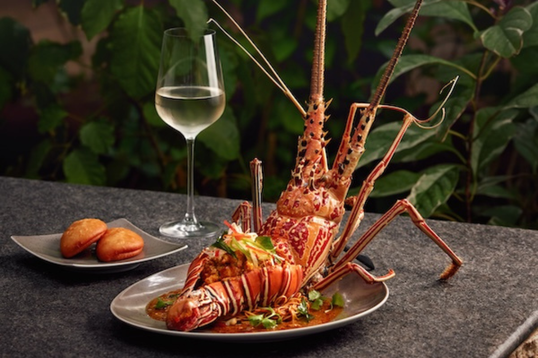 Regresa Nest, el restaurante más salvaje de las Maldivas