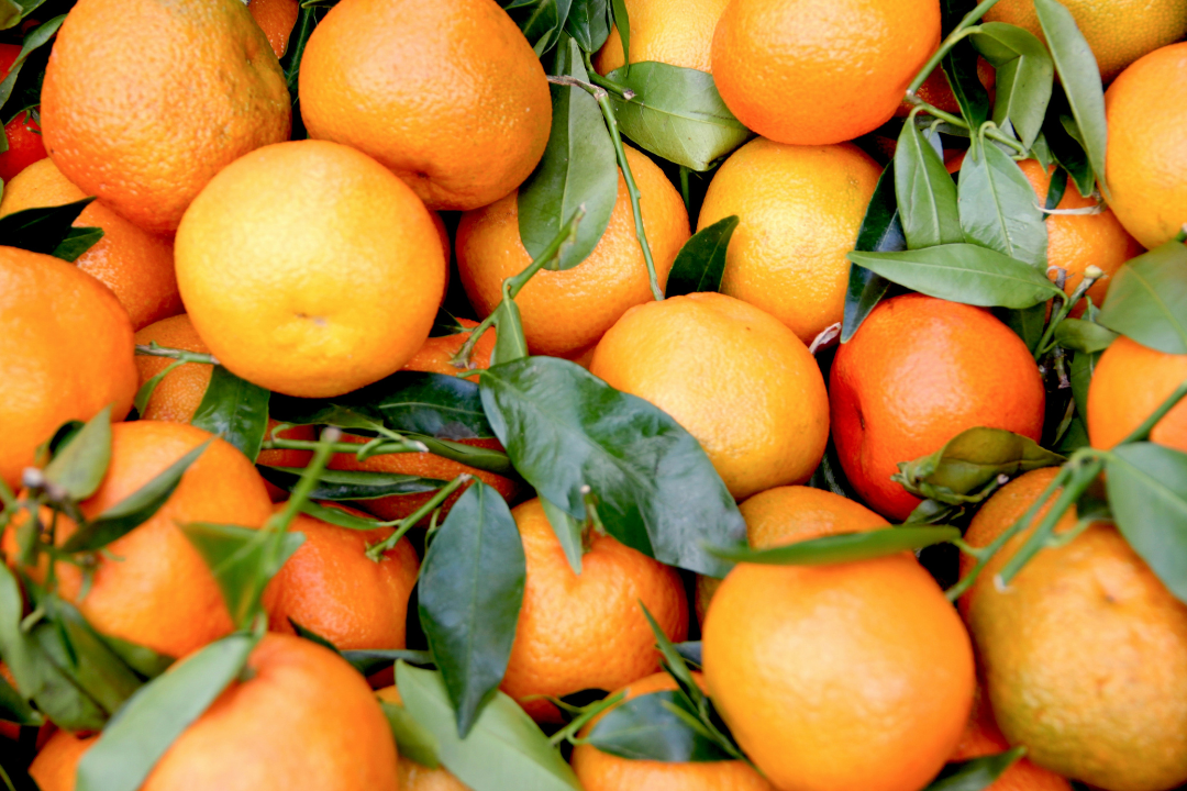 Descubre las mejores frutas de temporada para esta primavera