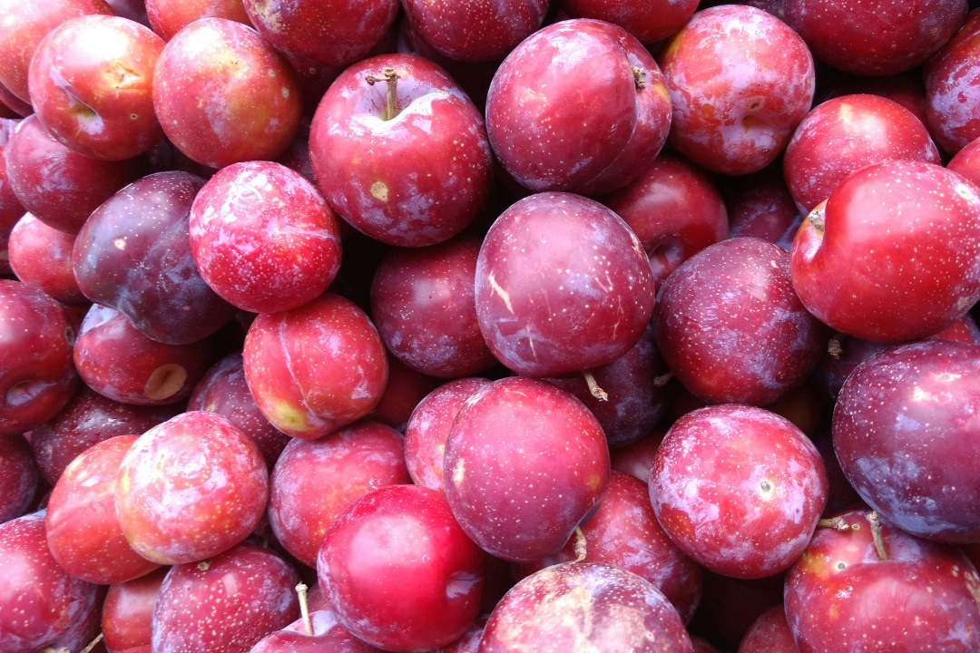 Descubre las mejores frutas de temporada para esta primavera