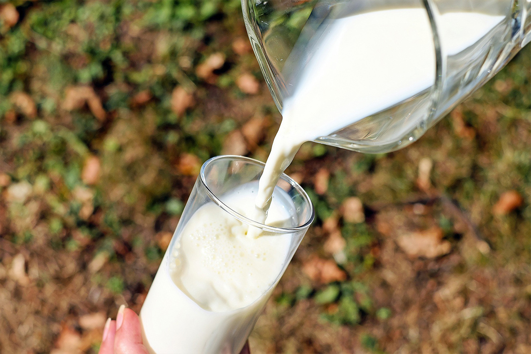 Leche de vaca o leche de almendras? Cuál es mejor para la salud