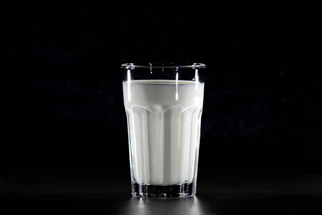 Leche de vaca o leche de almendras? Cuál es mejor para la salud