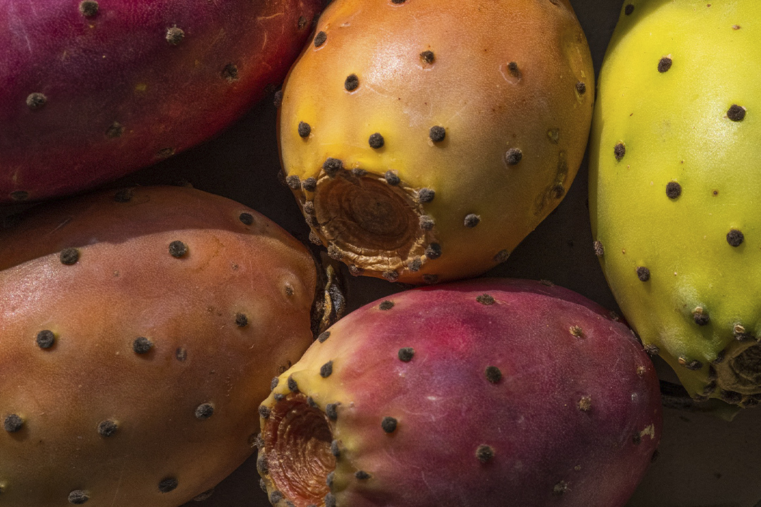 La fruta que alivia la indigestión y es baja en calorías que debés sumar a tu dieta