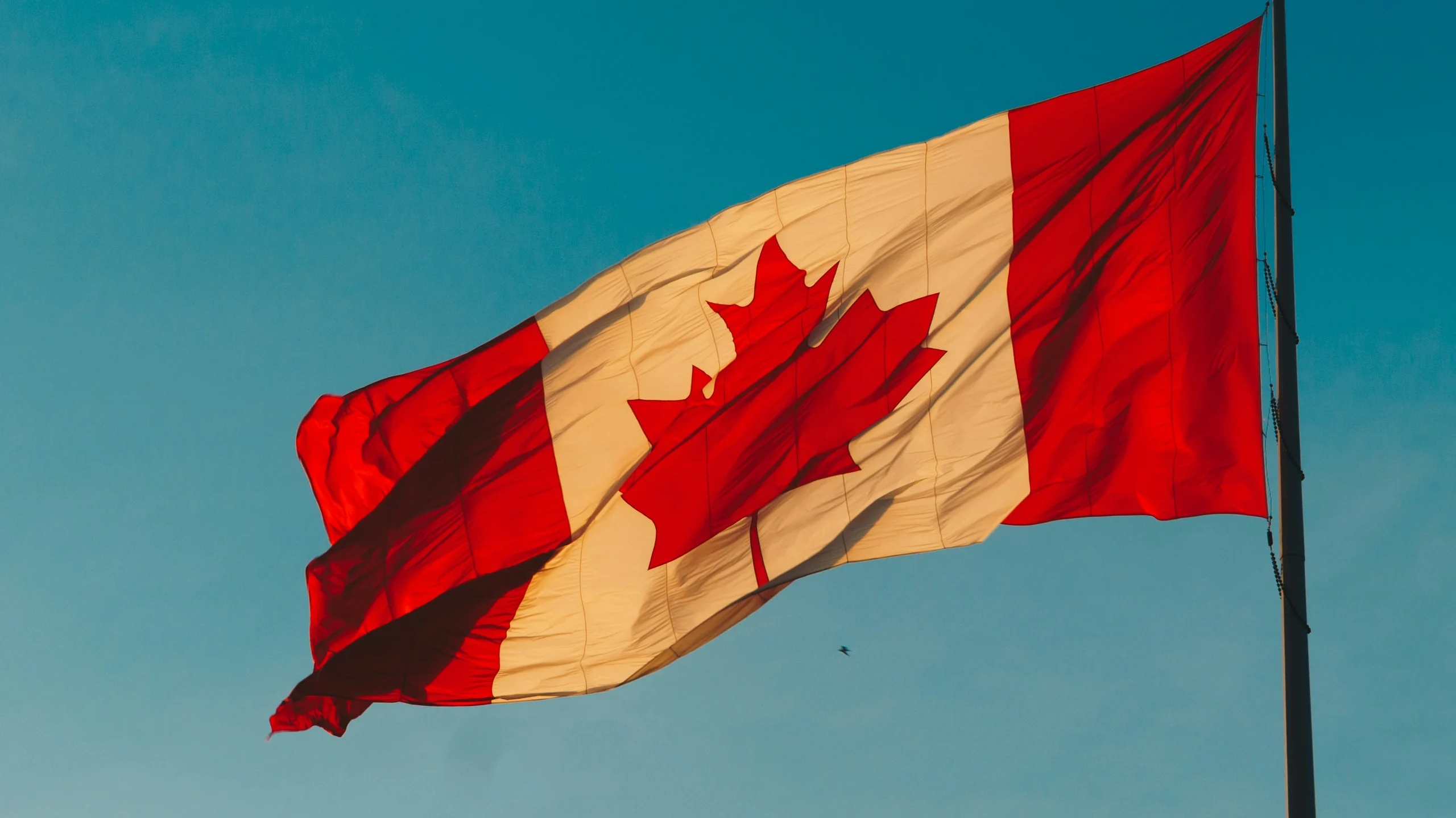 ¡Prueba el mejor maple! Estos son los nuevos requisitos para viajar a Canadá