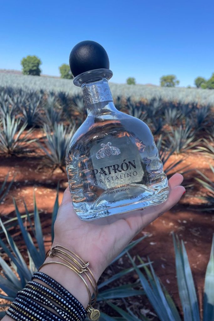 El lanzamiento de la temporada: Tequila Patrón Cristalino. Pruébalo en estos hot spots de la CDMX
