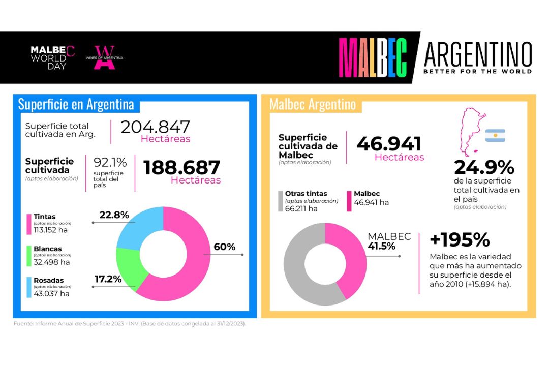 Día del Malbec, ¿qué significa para los productores argentinos?