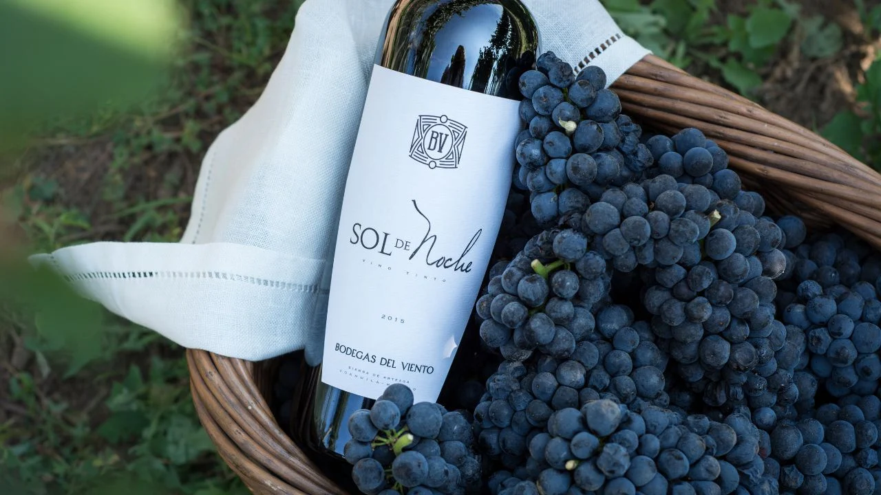 Sol de Noche 2021, el mejor vino mexicano de la Guía Peñín