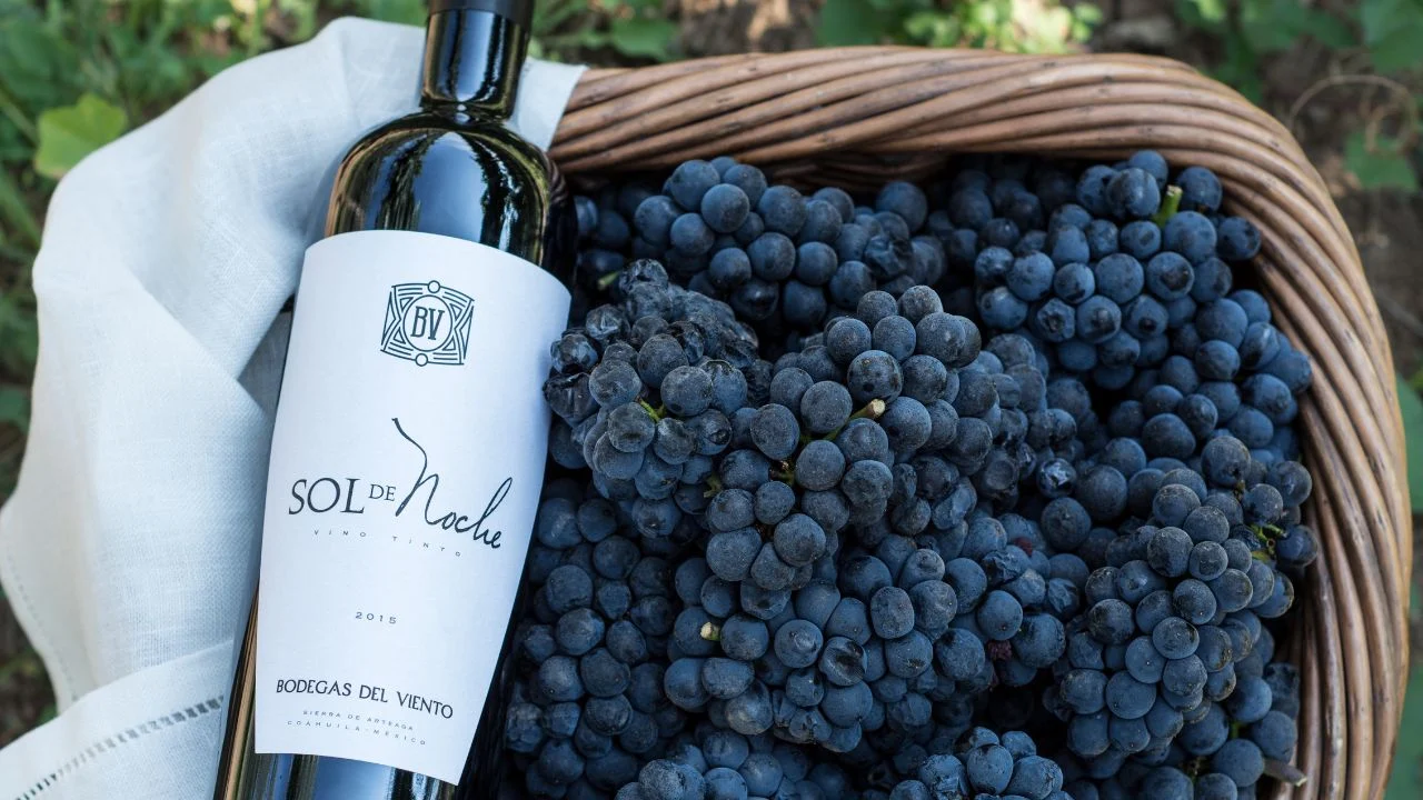 Sol de Noche 2021, el vino mejor mexicano puntuado de la Guía Peñín