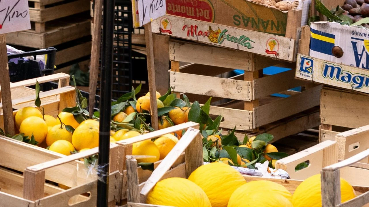 Huauzontle: una planta prehispánica con amplia relevancia alimenticia