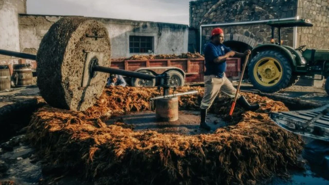 Palenque del mezcal Salmero, donde se utiliza la tahona para su elaboración