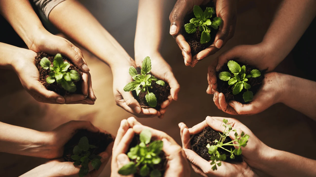La importancia de la agricultura sostenible en el mundo