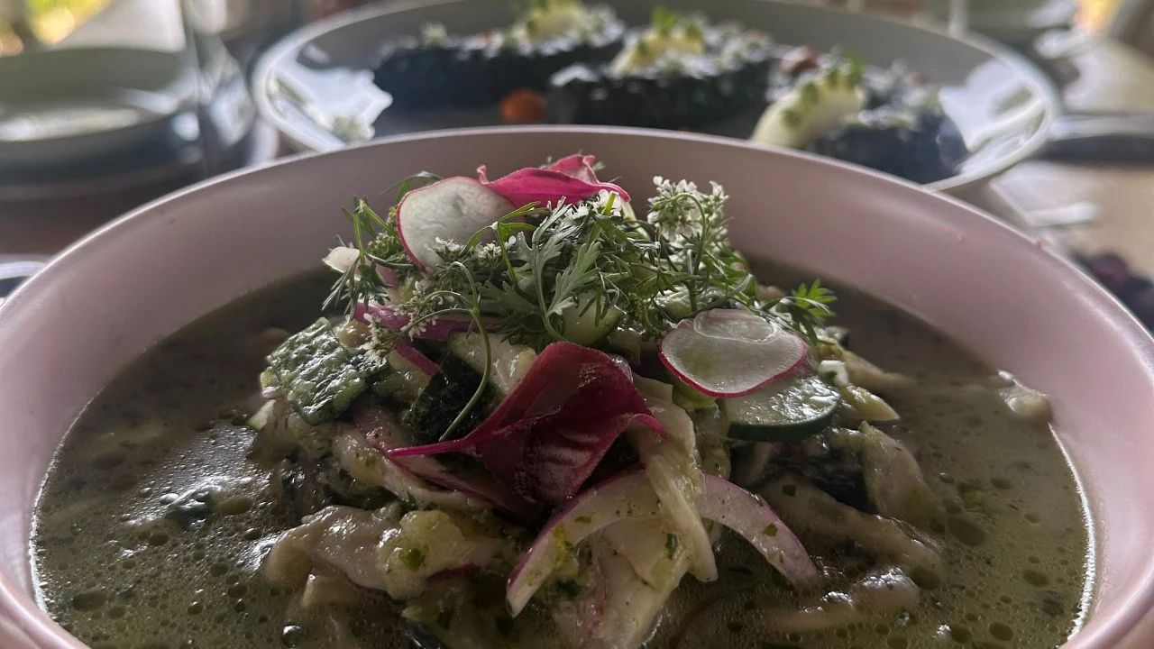 Experiencias gastronómicas con Four Seasons Mexico City