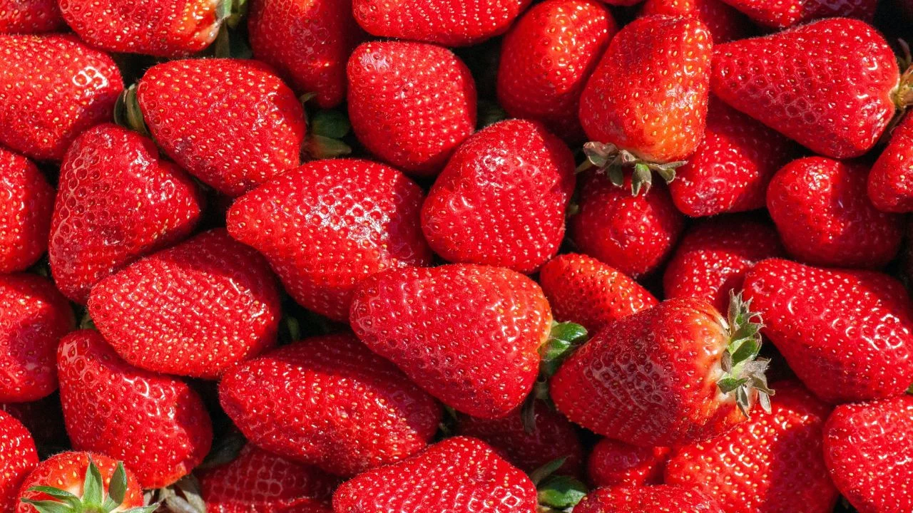 Razones para no cocinar tus fresas