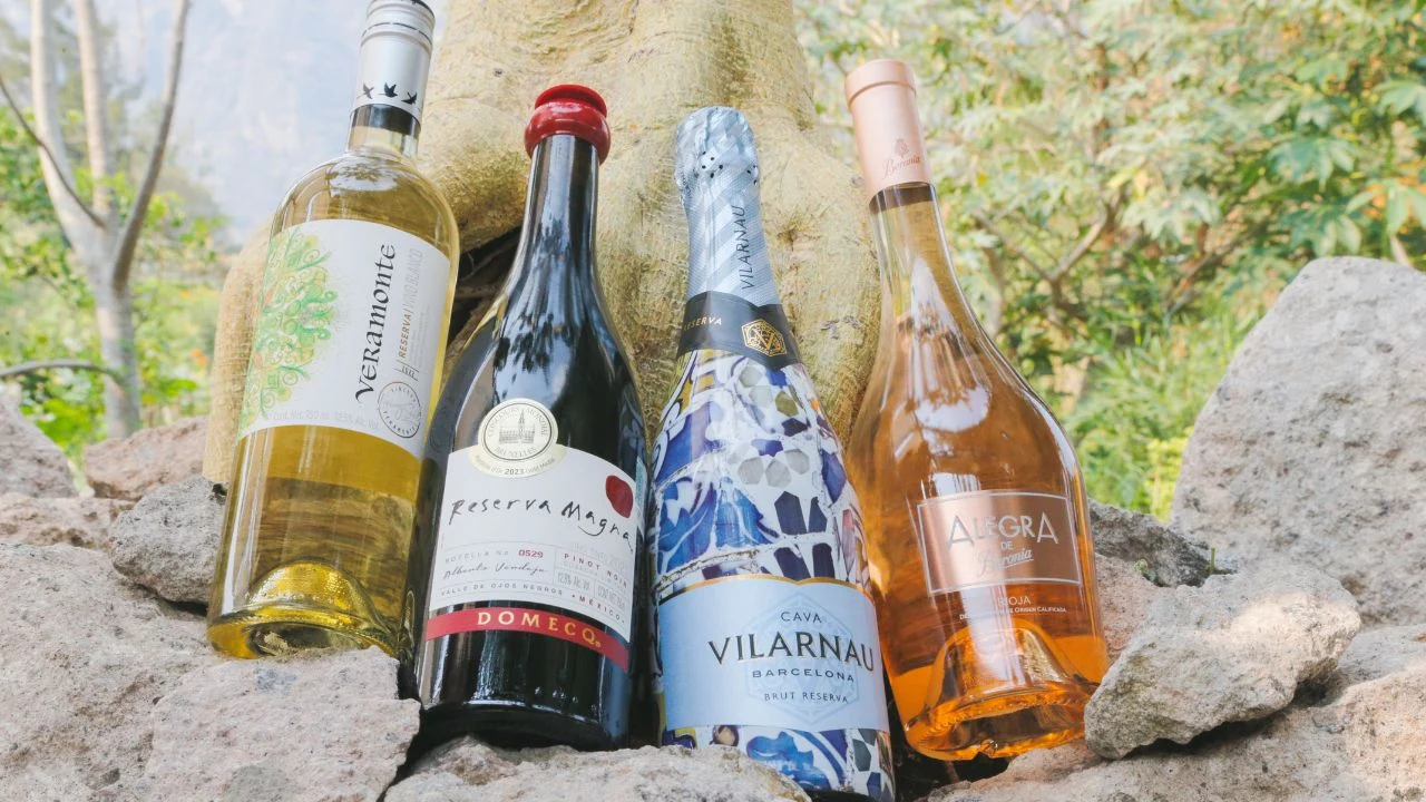Vinos de calidad, hechos con responsabilidad ambiental