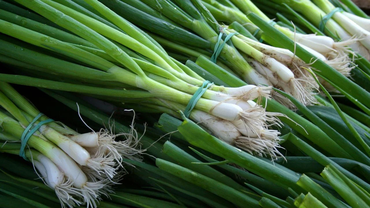 Cuándo utilizar las partes blanca y verde de un cebollín