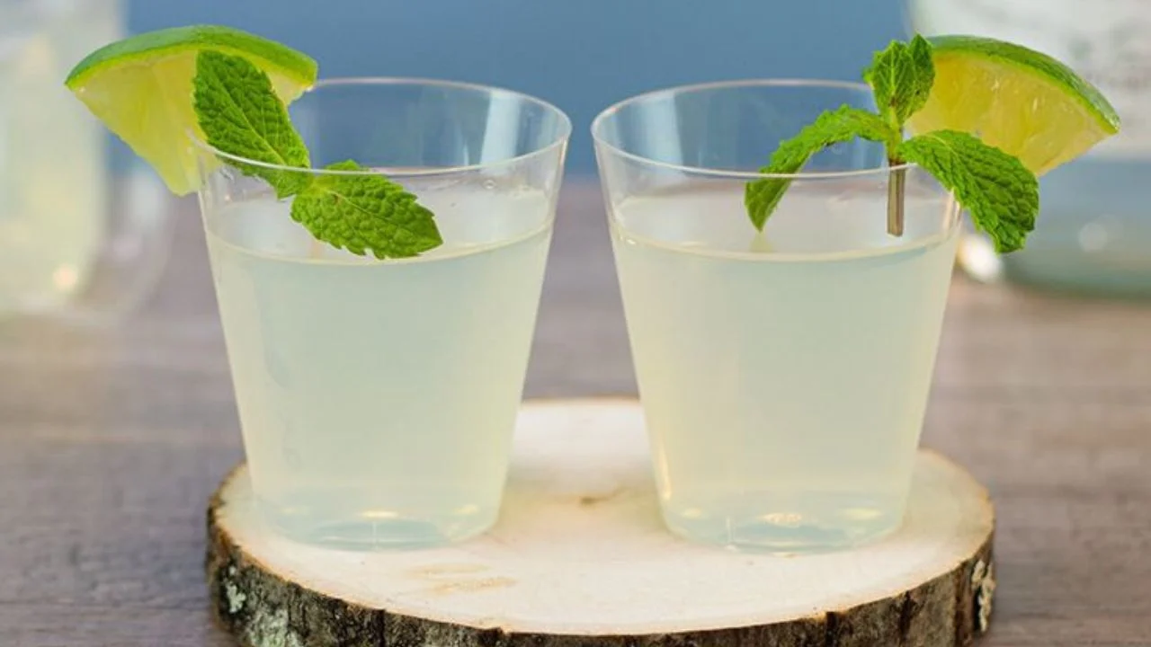 Festeja el Día del Mojito con estos shots de gelatina Festeja el Día del Mojito con estos shots de gelatina