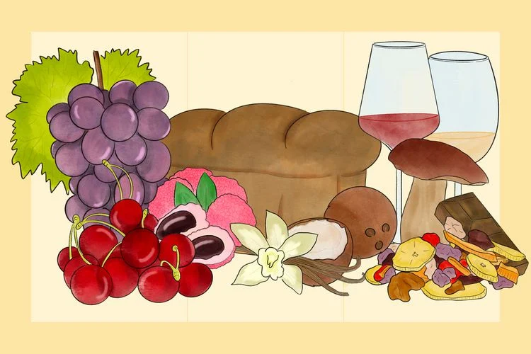 Aroma de tres niveles: el secreto para oler vino como un profesional