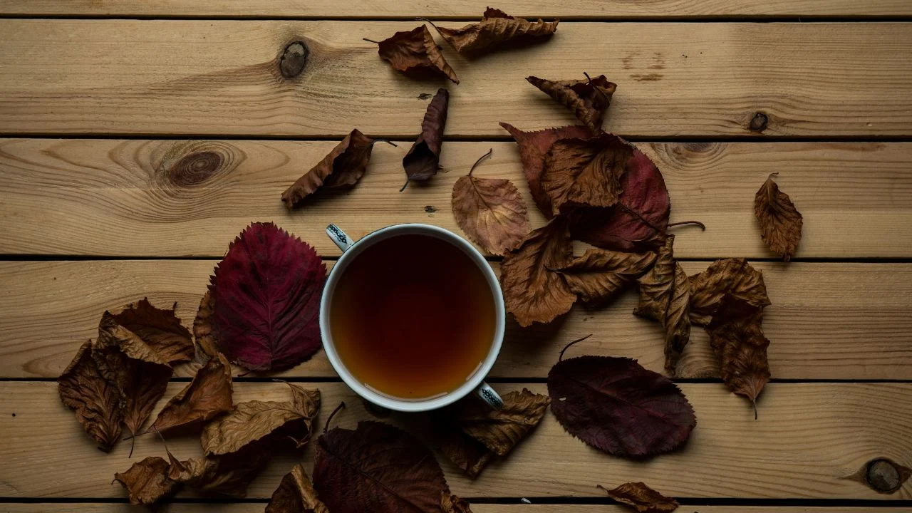 Tips para preparar el mejor té