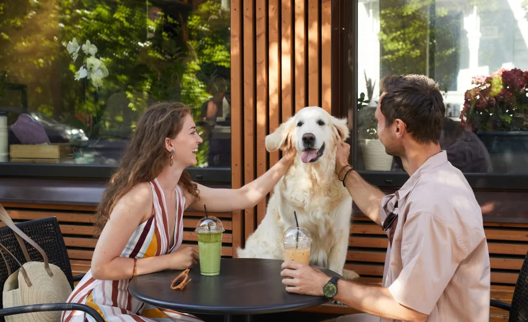 Día del perro: Tips para salir a comer con tu mascota