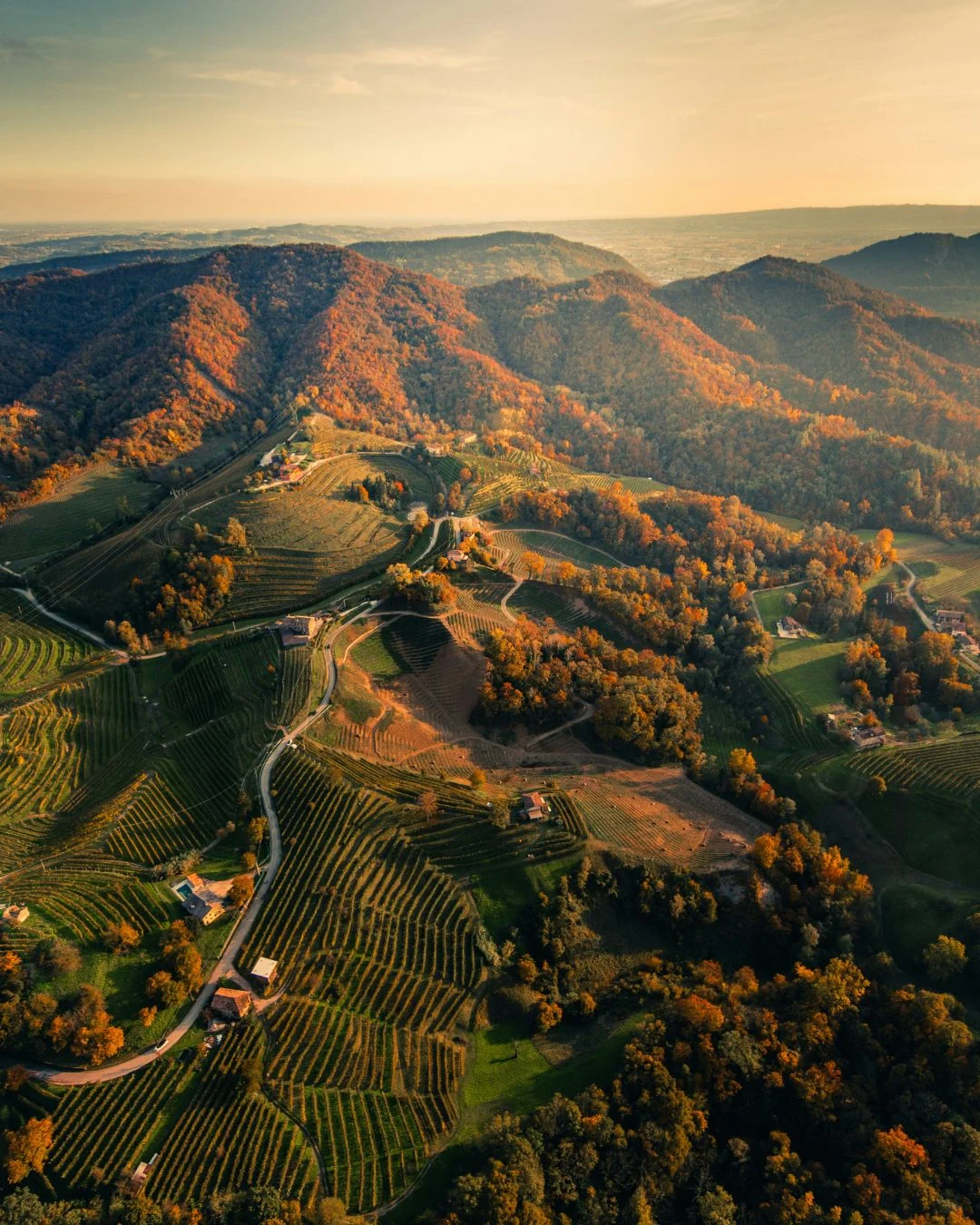 Prosecco 101: una guía para entender esta económica bebida espumosa
