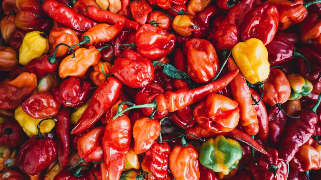 Colores, sabores y aromas; estas son las variedades de chile que hay en México