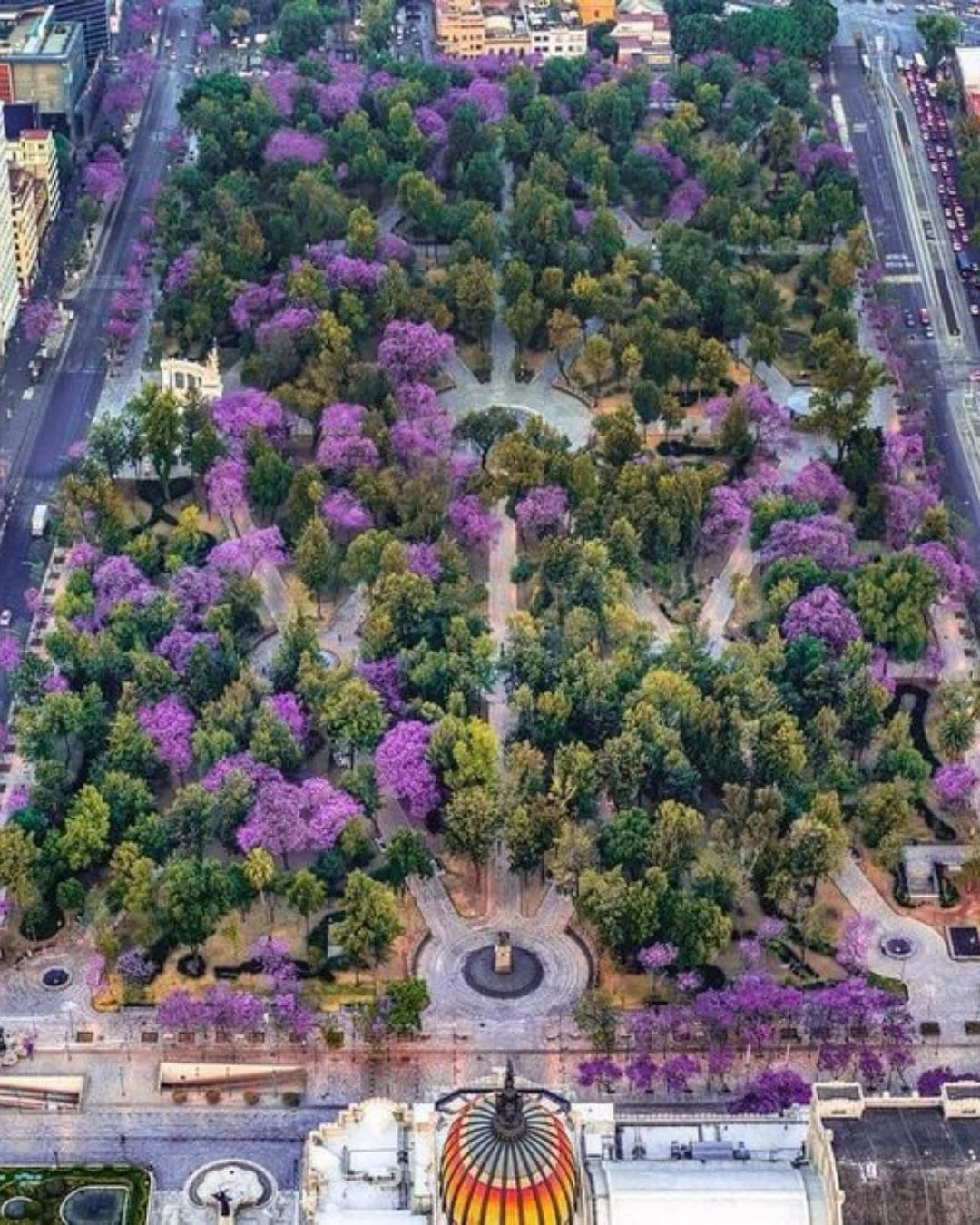 Una ruta completa y deliciosa por El Centro Histórico, descubre este tesoro cultural 