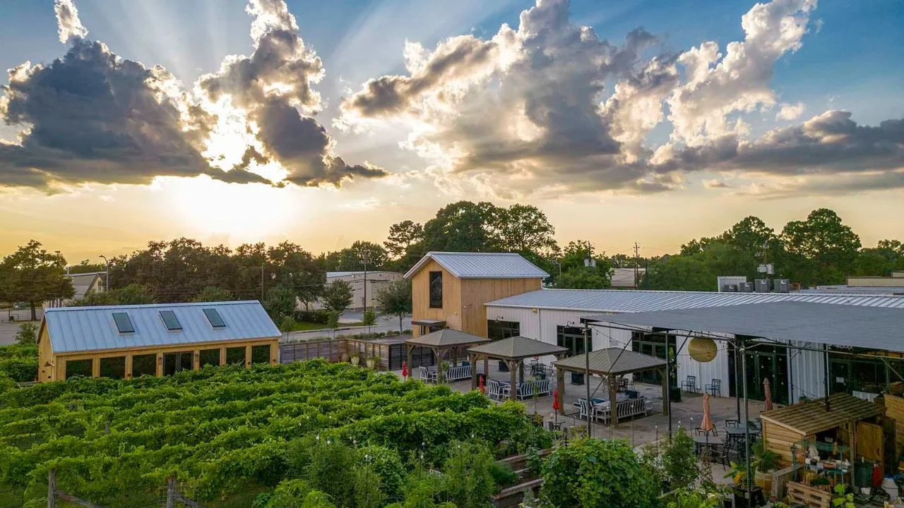 Houston para los amantes del vino