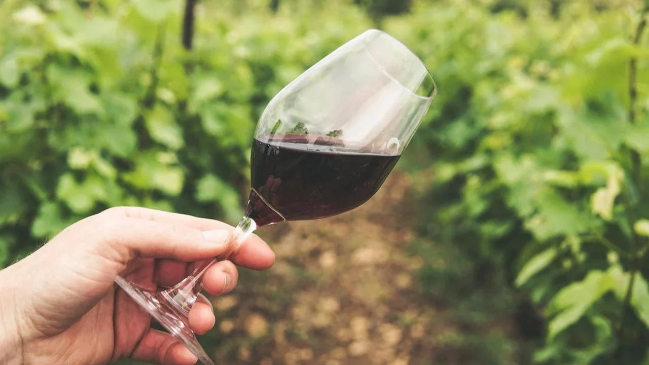 Estas son las 14 mezclas de vino más importantes que debes conocer