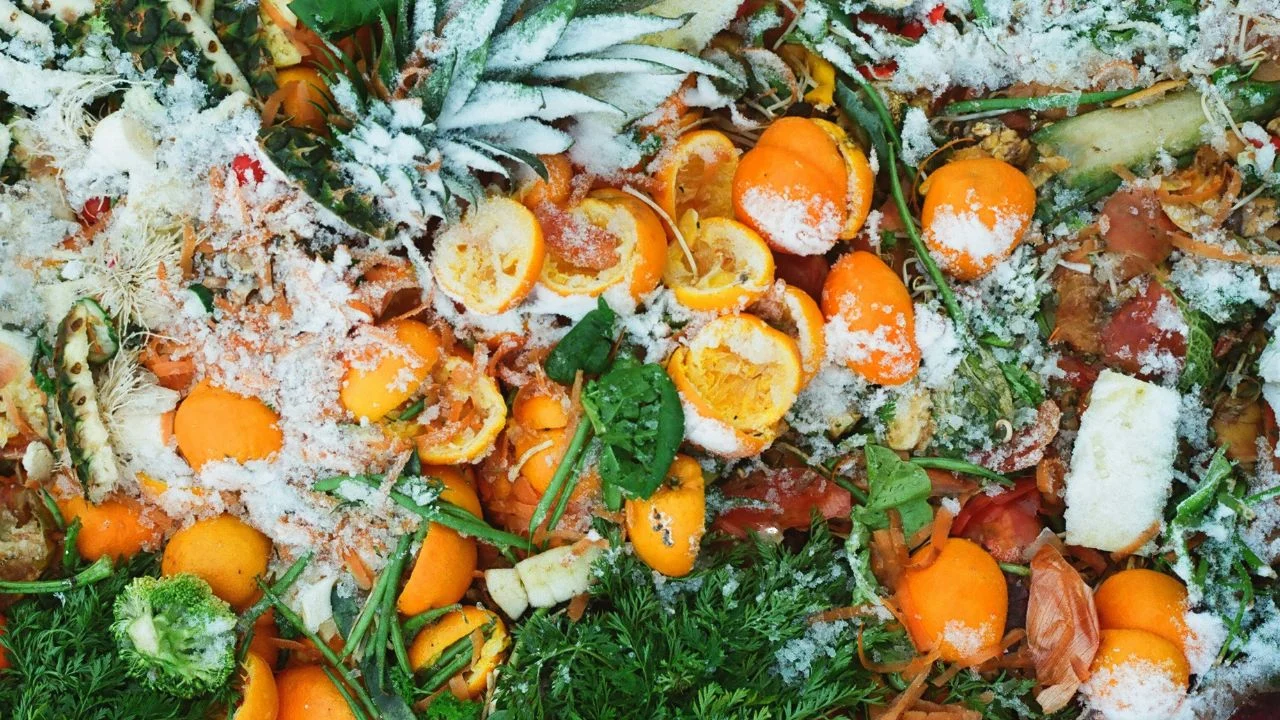 Chefs utilizan hongo para crear nuevos platos a partir de residuos alimentarios