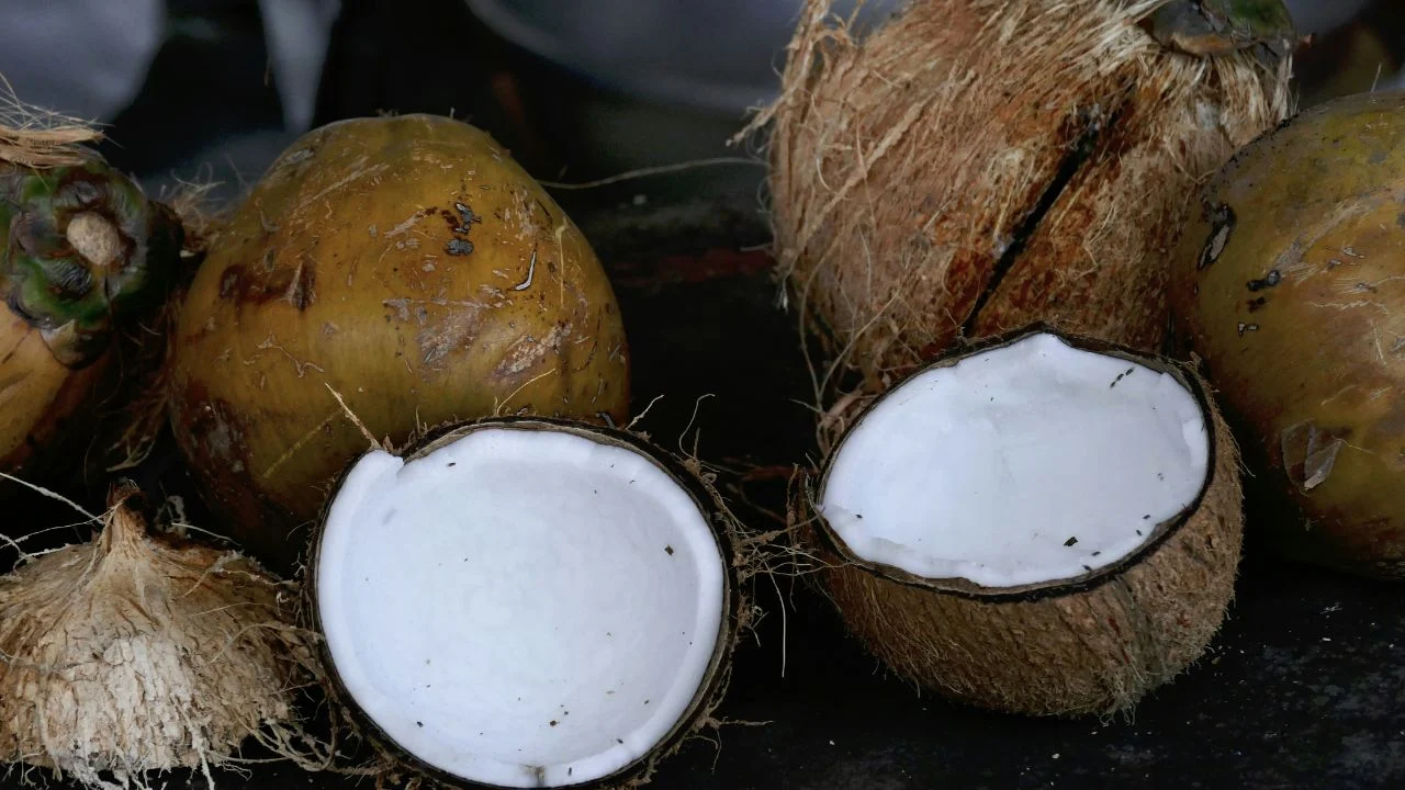 ¿Cómo hacer leche de coco en casa?