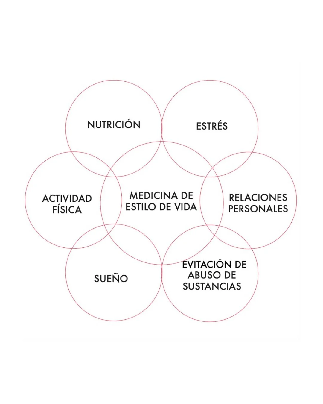 Aprende todo sobre nutrición y medicina de estilo de vida en el congreso Abracadabra