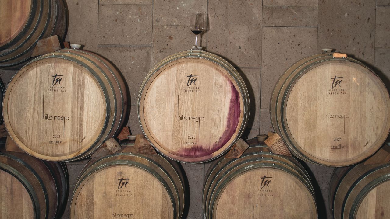 Hilo Negro: vinos de alta costura en el Valle de Guadalupe