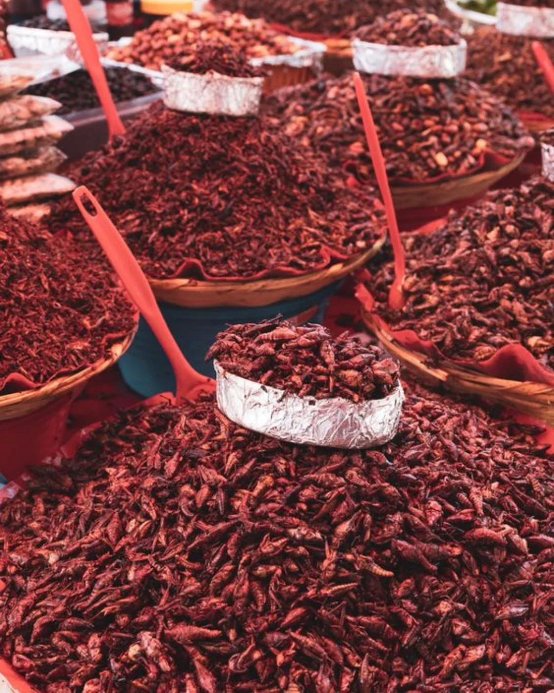 Cocina regional: el sabor de Oaxaca