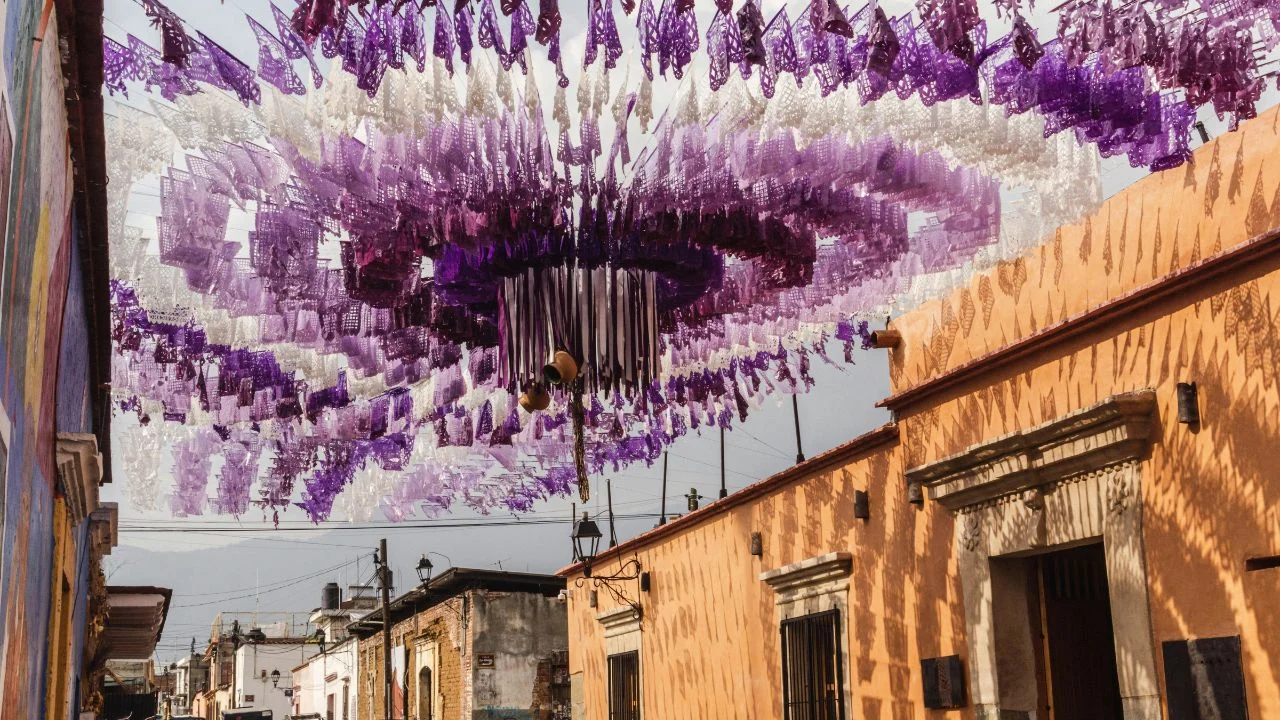 Cocina regional: el sabor de Oaxaca