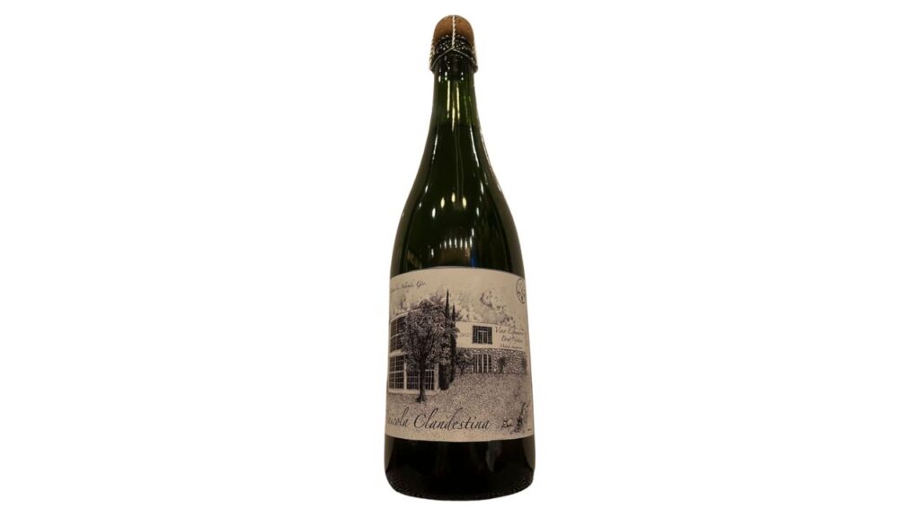 Terruños dorados: los mejores vinos y espirituosos del país galardonados por México Selection