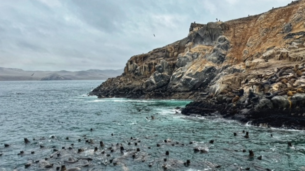 Destino final: Lima