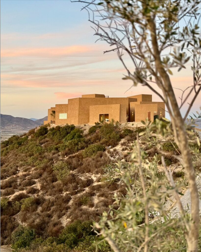 El Valle de Guadalupe: un refugio de vino, tierra y alma