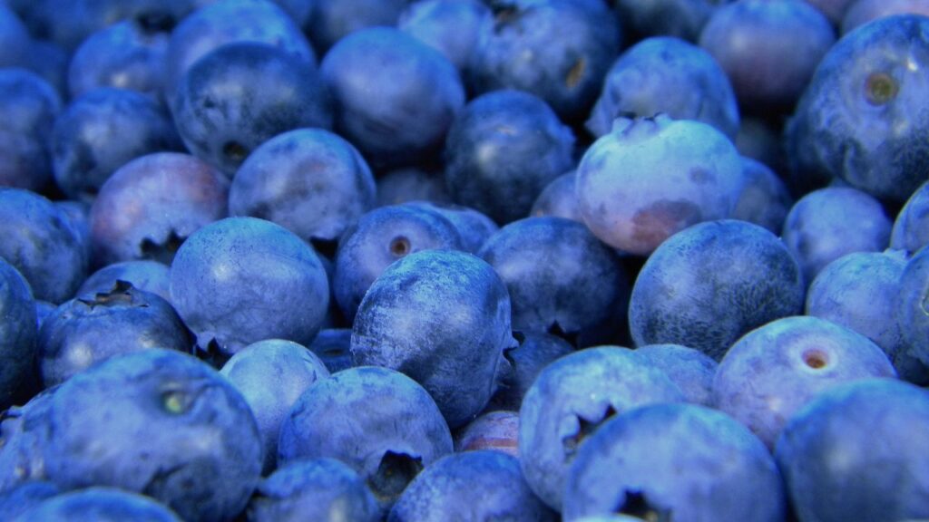 ¿El color influye en nuestros hábitos alimenticios?