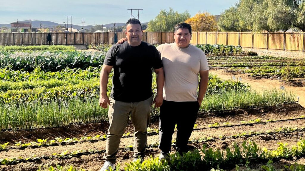Olivea, un restaurante de huerto dentro del hotel MYA, en Valle de Guadalupe