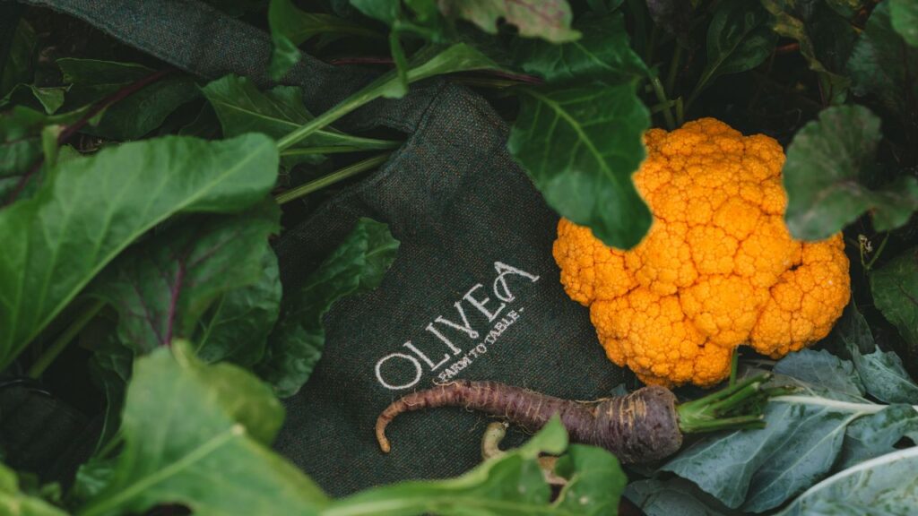 Olivea, un restaurante de huerto dentro del hotel MYA, en Valle de Guadalupe