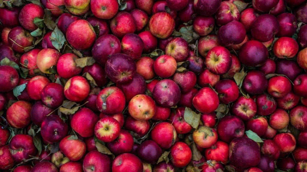 ¿El color influye en nuestros hábitos alimenticios?