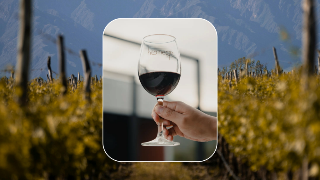 Hilo Negro celebra más de una década con vinos que cuentan su historia