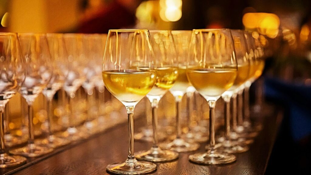 12 uvas: nuestra selección de los mejores vinos del 2024