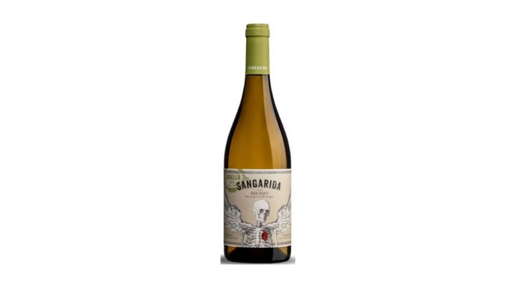 12 uvas: nuestra selección de los mejores vinos del 2024
