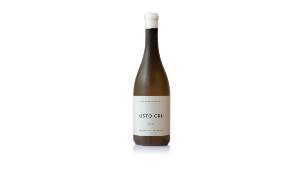 12 uvas: nuestra selección de los mejores vinos del 2024