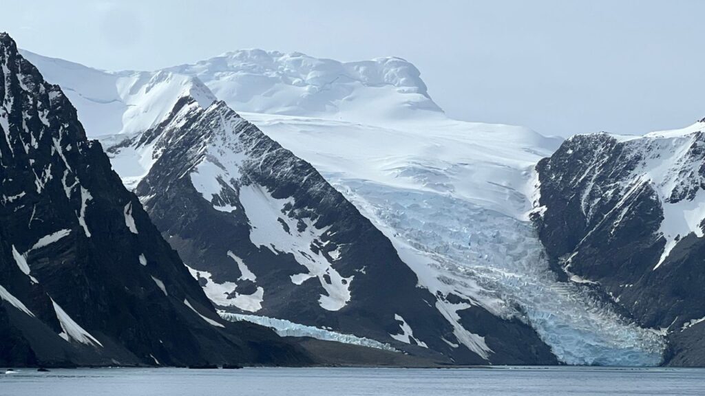 Antártida: un paraíso inexplorado de vida y hielo