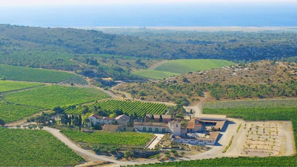 Gérard Bertrand: un viaje sensorial entre viñedos